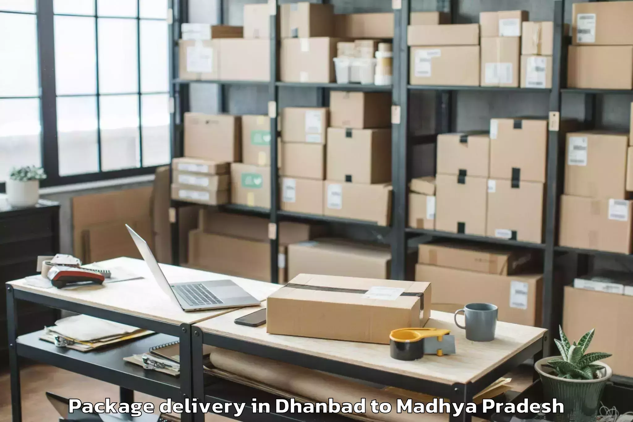 Easy Dhanbad to Daboh Package Delivery Booking